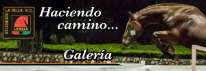 banner-potros-2014-2060e6