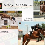 alebrije-ls-_2014-2015_web