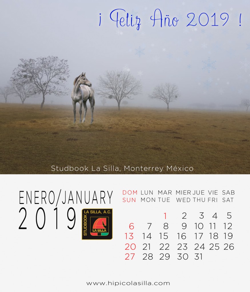 1-Calendario-2019--ENERO-2