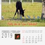 2-Calendario-2019--FEBRERO