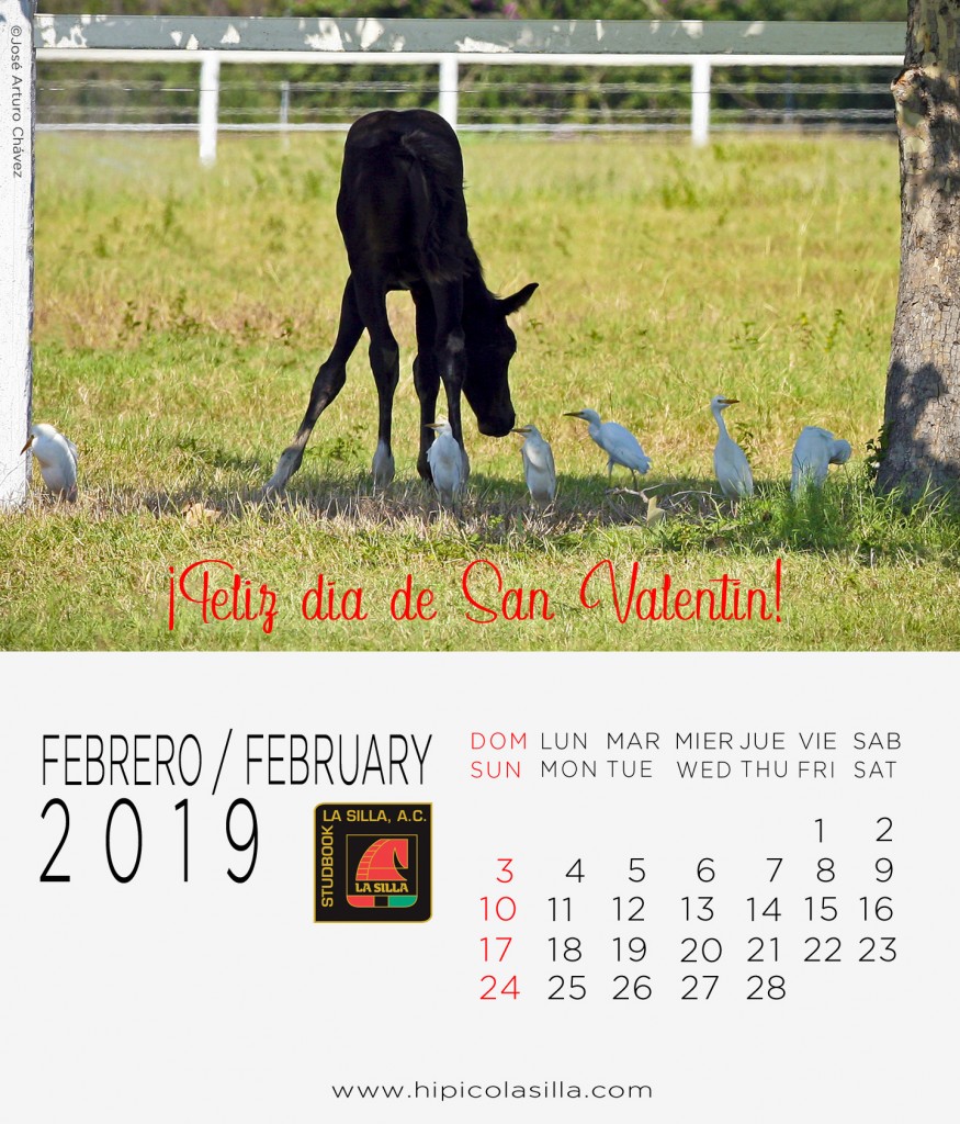 2-Calendario-2019--FEBRERO