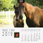 5-Calendario-2019--MAYO