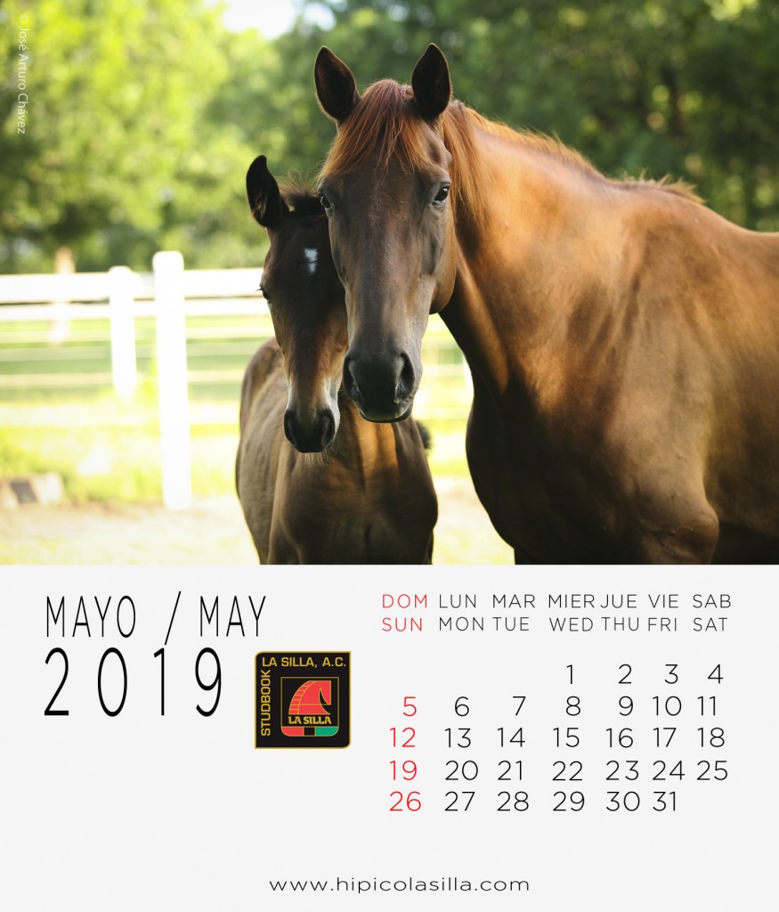 5-Calendario-2019--MAYO