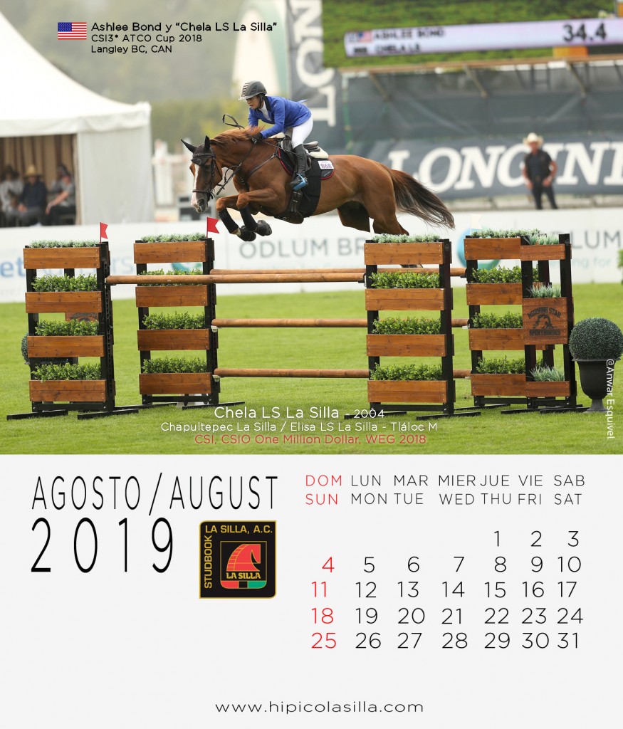 8-Calendario-2019--AGOSTO