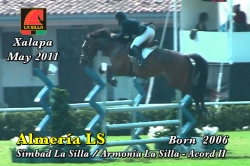 wp-content/gallery/almeria-ls/almeria_ls_xalapa_mayo_2011.mp4