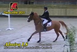 http://www.hipicolasilla.com/wp/wp-content/gallery/almira-ls/almira_ls_deauville_2011.mp4