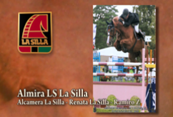 http://www.hipicolasilla.com/wp/wp-content/gallery/almira-ls/almira_ls_lasilla.mp4