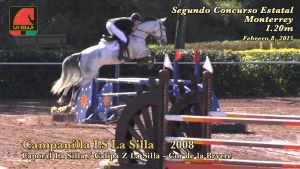 campanilla_ls