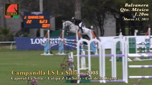 campanilla_ls
