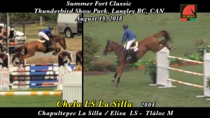 port-chela-ls-ago19-2018-fort-summer-classic