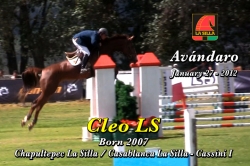 wp-content/gallery/cleo-ls/cleo_ls_avandaro_ene_27_2012.mp4