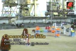wp-content/gallery/concordia-la-silla/concordia_la_silla_apple_tv_antwerpen_agora_28abril_2012_1.mp4