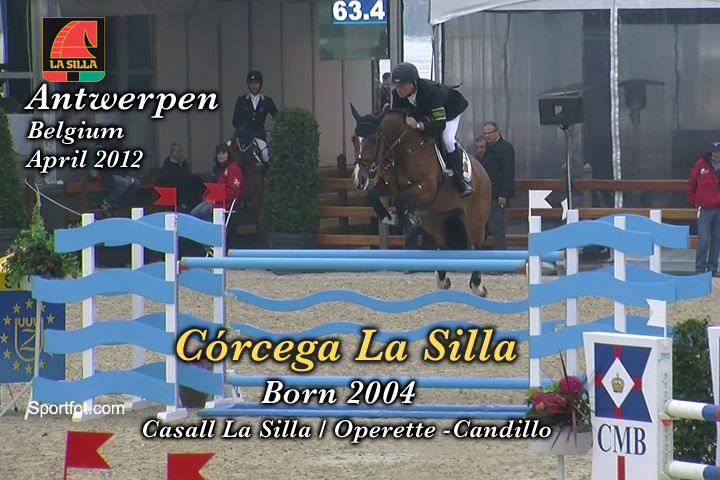wp-content/gallery/corcega-la-silla/corcega_la_silla_alta_calidad_antwerpen_28abril.mp4