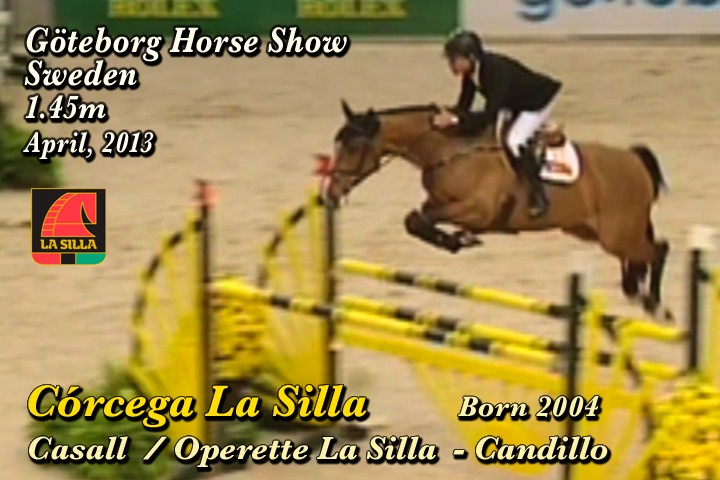 wp-content/gallery/corcega-la-silla/corcega_la_silla_goteborg_horse_show_1.45m_april_20131373584330.mp4