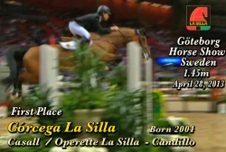 wp-content/gallery/corcega-la-silla/corcega_la_silla_goteborg_horse_show_1.45m_april_28,_20131373584613.mp4