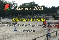 wp-content/gallery/dulcinea-la-silla/dulcinea_la_silla_auvers_2011_001.mp4