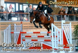 dulcinea-la-silla_deauville-2011_web-corr.mp4
