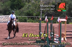 wp-content/gallery/el-don-ls/el_don_ls_monterrey_abril_14__20121343946597.mp4
