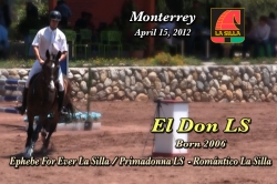 wp-content/gallery/el-don-ls/el_don_ls_monterrey_abril_15__20121343947141.mp4