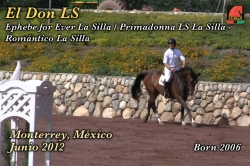wp-content/gallery/el-don-ls/el_don_ls_monterrey_junio_20121343947502.mp4