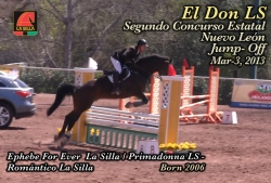 wp-content/gallery/el-don-ls/el_don_ls_segundo_concurso_jump-off_mar-3_20131366243652.mp4