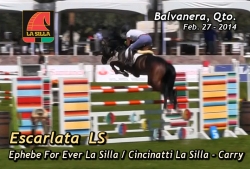 escarlata_ls_balvanera_feb-_27_20141393957238