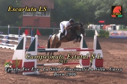 wp-content/gallery/escarlata-ls/escarlata_ls_campeonato_nl_20121354804938.mp4