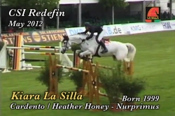 wp-content/gallery/kiara-la-silla/kiara_lasilla__redefin_mayo__2012.mp4