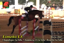limeno_ls_guadalajara_abril_2014_abril_20141403360657