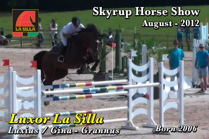 wp-content/gallery/luxor-ls/luxor_la_silla_skyrup_horse_show_august_20121345738367.mp4