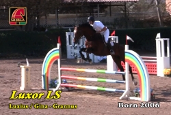 wp-content/gallery/young-prospects/luxor_ls_feb_2011.mp4