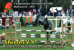 wp-content/gallery/maribi-ls/maribils_camp_nac_balv-19nov2011.mp4