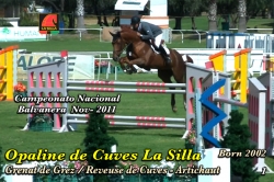 wp-content/gallery/opaline-de-cuves-la-silla/opaline_de_cuves_la_silla_campeonato_nacional_balvanera_nov_20111343840705.mp4