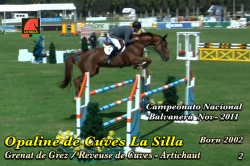 wp-content/gallery/opaline-de-cuves-la-silla/opaline_de_cuves_la_silla_campeonato_nacional_balvanera_nov_20111343841230.mp4