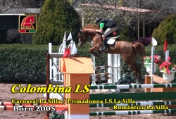 Video: Colombina LS