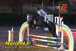 Video: Maribi LS