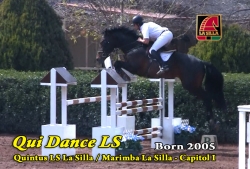 Video: Qui Dance LS