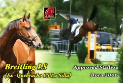 wp-content/gallery/breitling/breitling_ls_december_2010.mp4