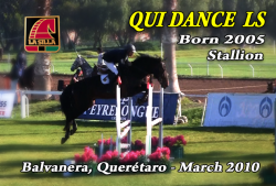 wp-content/gallery/qui-dance-ls/quidance_ls_balvanera_2010.mp4