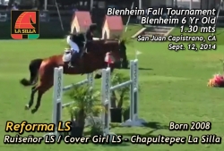 reforma_ls_blenheim_6y_old_septiembre