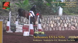 salkantay_ls1171