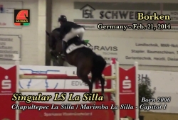 singular_ls_la_silla_borken_alemania_febrero_21_20141393519406