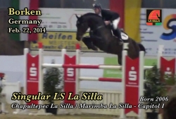 singular_ls_la_silla_borken_alemania_febrero_22_20141393519563