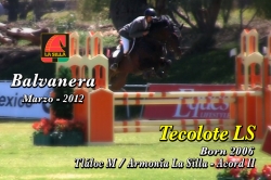 wp-content/gallery/tecolote-ls/tecolote_ls__marzo_23_balv_mar_2012.mp4