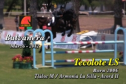 wp-content/gallery/tecolote-ls/tecolote_ls__marzo_24_balv_mar_2012.mp4