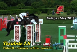 wp-content/gallery/tecolote-ls/tecolote_ls_xalapa_mayo_2011.mp4