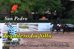 wp-content/gallery/tequilero-la-silla/tequilero_la_silla_v_001.mp4