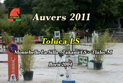 wp-content/gallery/toluca-ls/toluca_ls_auvers_2011_001.mp4