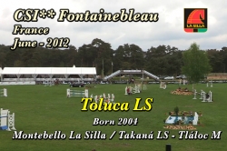 wp-content/gallery/toluca-ls/toluca_ls_fontainebleau_140fra_junio2012.mp4