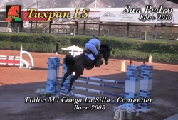 wp-content/gallery/tuxpan-ls/tuxpan_ls_san_pedro_feb_20131360871776.mp4